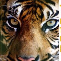 Arthur Chiang Photo 10