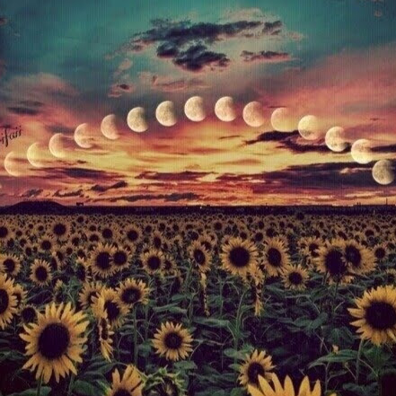 Linda Metcalf Photo 5