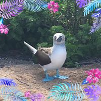 Lisa Greenup Photo 4