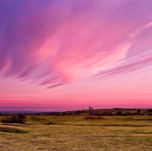 Ronnie Smith Photo 14