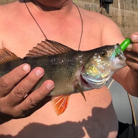 Jon Lord Photo 14 Jon Lord Photo 14