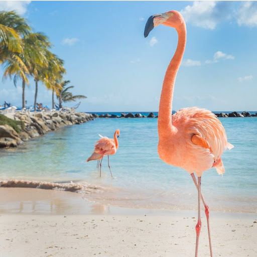 Michele Clifton Photo 10