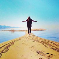 Allison Siegel Photo 15