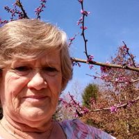 Sandra Shafer Photo 9