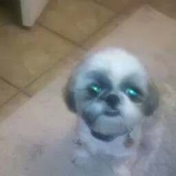 Julie Warren Photo 21