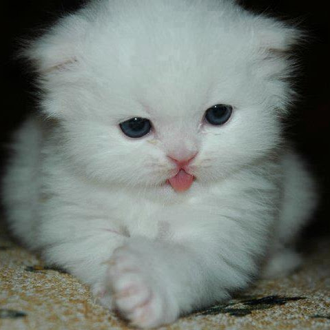 Ruth Douglas Photo 13