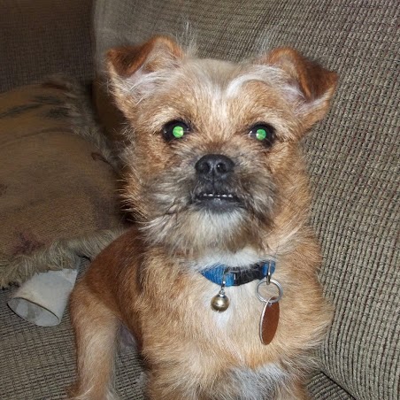 Charles Vernon Photo 45 Charles Vernon Photo 45