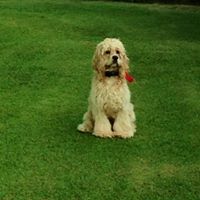 Annette Simmons Photo 12 Annette Simmons Photo 12