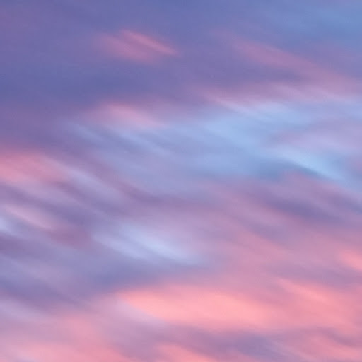 Robert Pratt Photo 42 Robert Pratt Photo 42