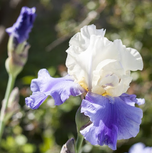 Jan Wilkinson Photo 28