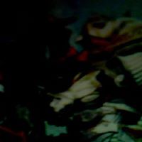 Jerome Matthews Photo 26