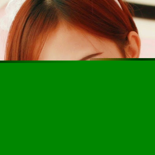 Yong Fan Photo 14