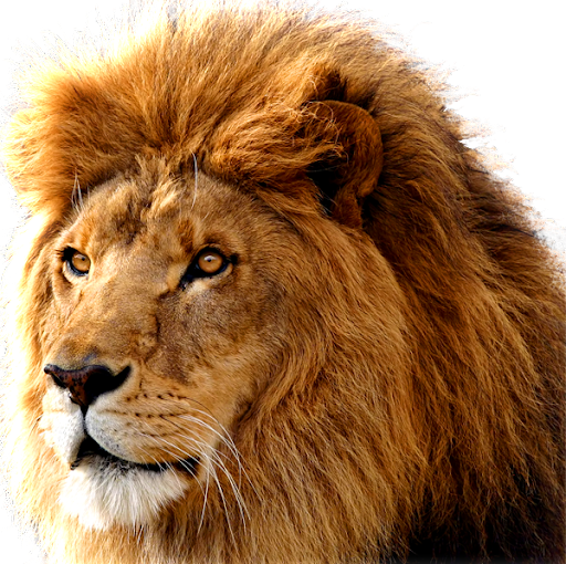 Brian Jamison Photo 29