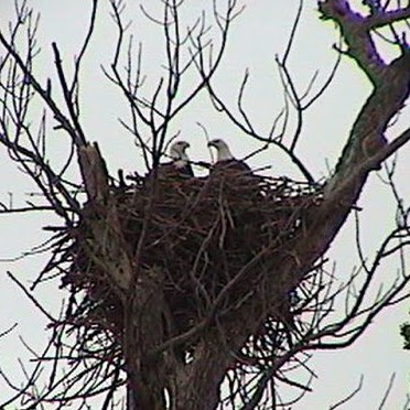 Kathy Lowery Photo 30