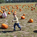 Michelle Bales Photo 35