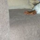 Joy Robertson Photo 11