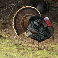 Kathy Conners Photo 9