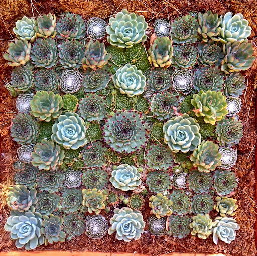 Francis Dawson Photo 29 Francis Dawson Photo 29