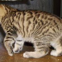 Dave Blanchette Photo 15