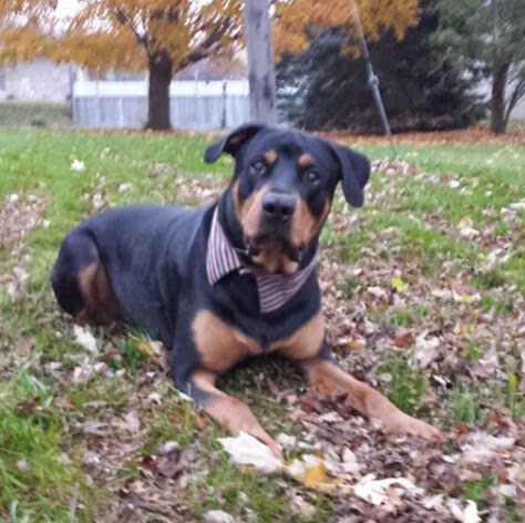 Tracey Simms Photo 12