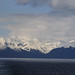 Tracy Stephens Photo 19