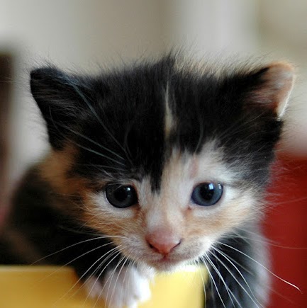 Hailey Martin Photo 9