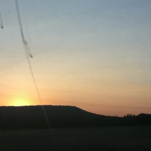 Gerald Ellis Photo 13