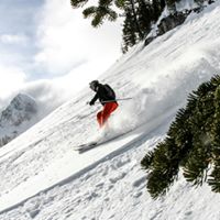 Jeffrey Schenck Photo 8