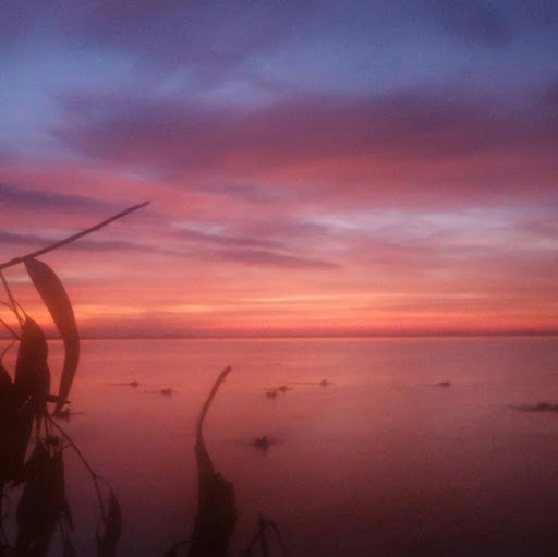 Arthur Edwards Photo 13