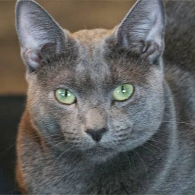 Jeffrey Holland Photo 36 Jeffrey Holland Photo 36