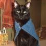Cynthia Fowler Photo 47