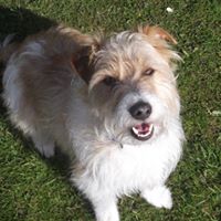 Christopher Huntley Photo 35