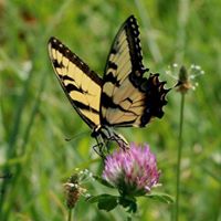 Stacy Caudill Photo 19