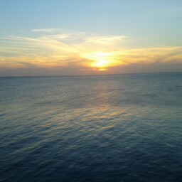 Suzanne Woods Photo 38