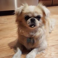 Christine Ellison Photo 32