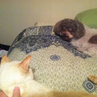 Deborah Pegram Photo 4