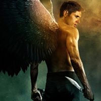 David Sellers Photo 19