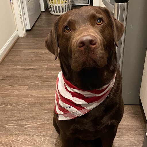 Mackenzie Graham Photo 11