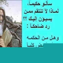 Hamad Mohamed Photo 7