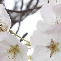 Dawn Moretti Photo 10