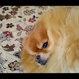 Jill Porter Photo 15