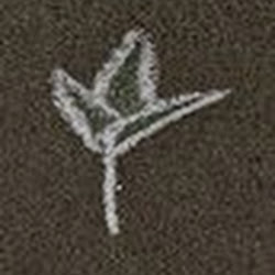 Aaron Warren Photo 22