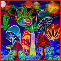 James Bergen Photo 27