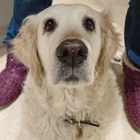 Claire Robbins Photo 7