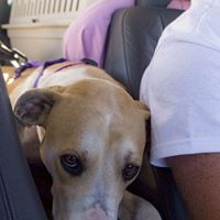 John Gallivan Photo 5