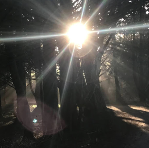 Sarah Dolan Photo 17