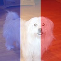 Joan Griffith Photo 11