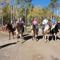 Darlene Strayer Photo 1