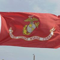 Steven Holzman Photo 7