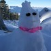 Andrea Snow Photo 29